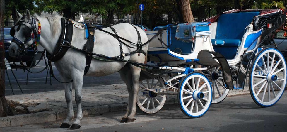 Horse drawn carriage rides are available in Corfu Town & Sidari also we can use one for a fantastic wedding!!!